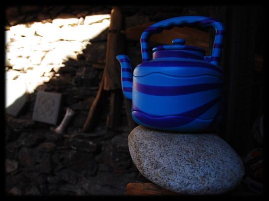  ARACELI SEGARRA _ botijo cebra 