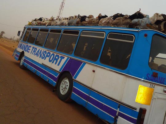  ARACELI SEGARRA _ cabra-bús 