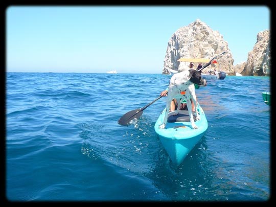  ARACELI SEGARRA _ capitán perruno 