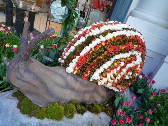  ARACELI SEGARRA _ caraflor 