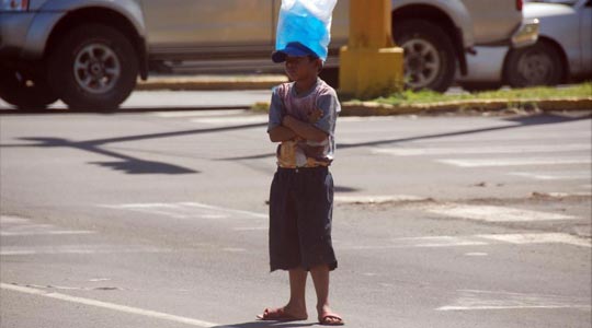 ARACELI SEGARRA _ con la cabeza fría 