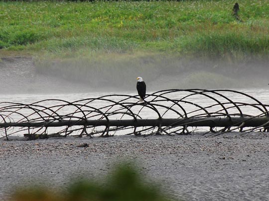  ARACELI SEGARRA _ controling 