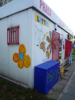  ARACELI SEGARRA _ corner flower 