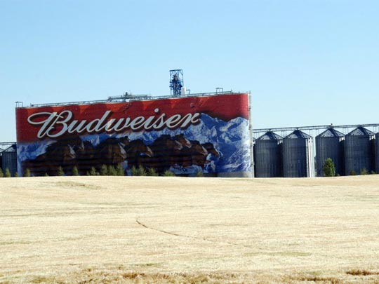 ARACELI SEGARRA _ corre a por tu cerveza 