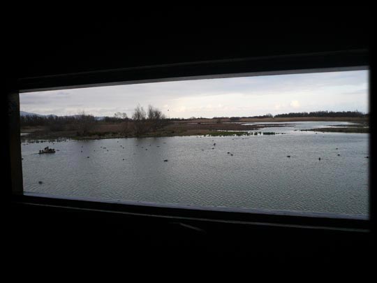  ARACELI SEGARRA _ cuadro natural 