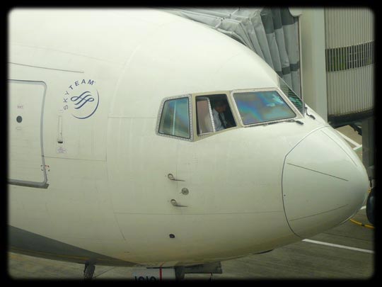  ARACELI SEGARRA _ cuando arranques cierra, ¿por dios! 