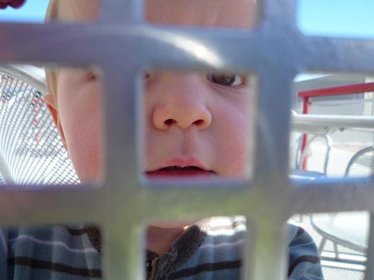  ARACELI SEGARRA _ curiosidad infantil 