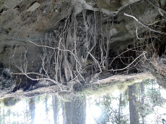  ARACELI SEGARRA _ depende como lo mires 