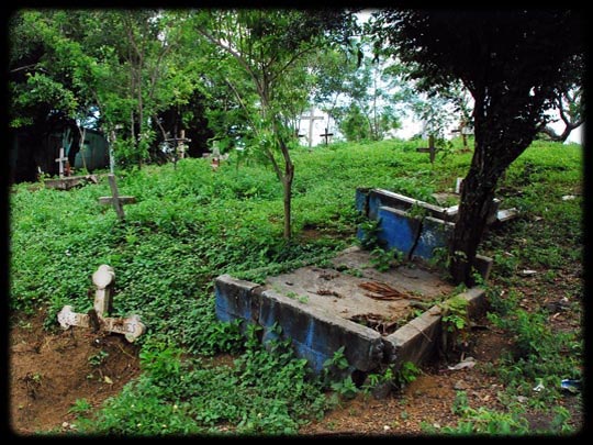  ARACELI SEGARRA _ desauciado 