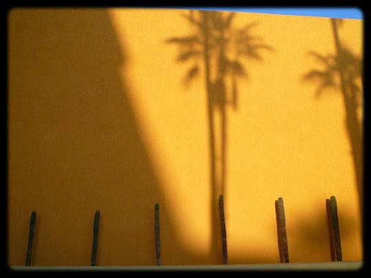  ARACELI SEGARRA _ desierto 