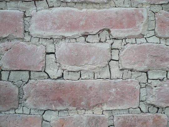  ARACELI SEGARRA _ dry skin 