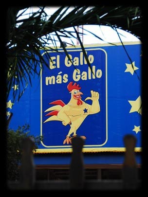  ARACELI SEGARRA _ el gallo claudio hace publicidad 