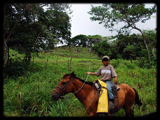  ARACELI SEGARRA _ el ruiseñor 