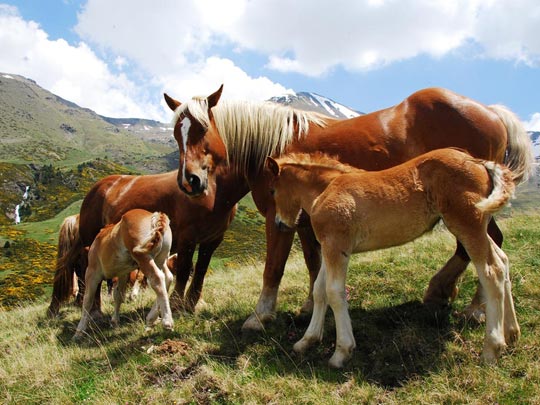  ARACELI SEGARRA _ en familia 