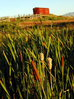  ARACELI SEGARRA _ en lo alto de la colina 