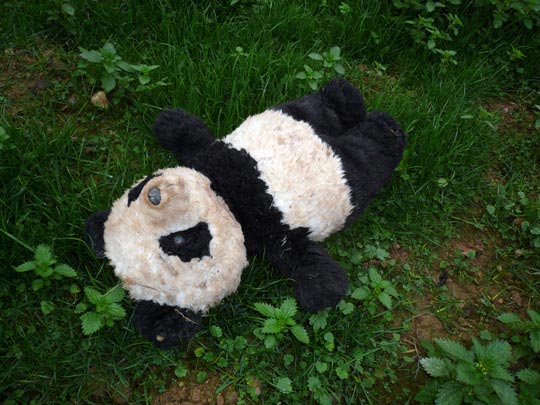  ARACELI SEGARRA _ escena del crimen 