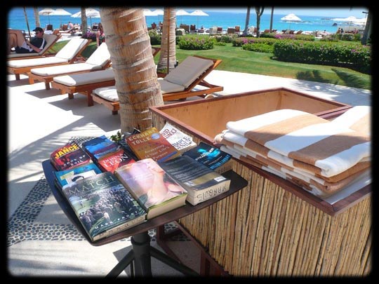  ARACELI SEGARRA _ esto sí es un plan 