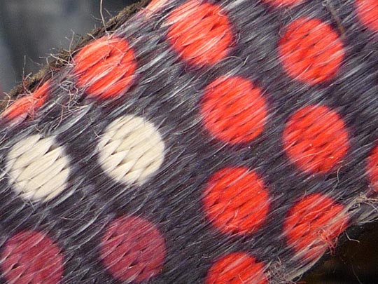  ARACELI SEGARRA _ fibra 