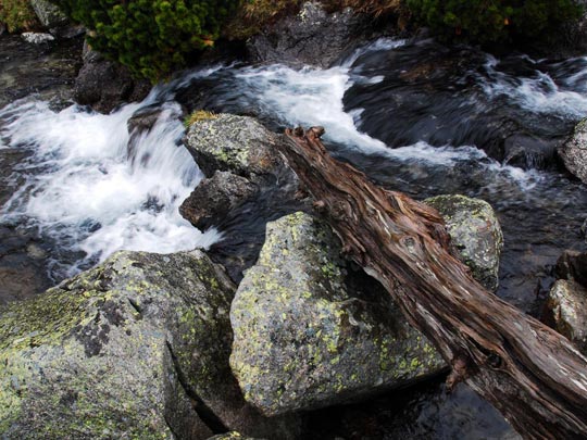  ARACELI SEGARRA _ flow 