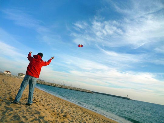  ARACELI SEGARRA _ fly baby, fly 