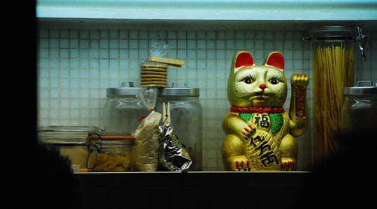  ARACELI SEGARRA _ fortuna para todos 