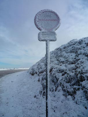  ARACELI SEGARRA _ frigoseñal 