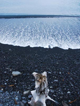  ARACELI SEGARRA _ frío mar de alaska 