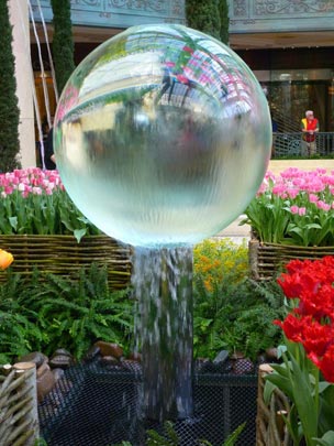  ARACELI SEGARRA _ futuro borroso 