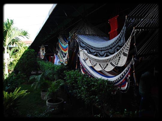  ARACELI SEGARRA _ hamaca-litera 