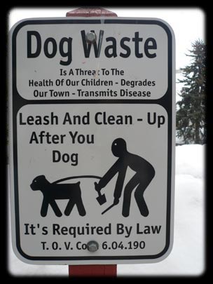  ARACELI SEGARRA _ instrucciones de mierda 