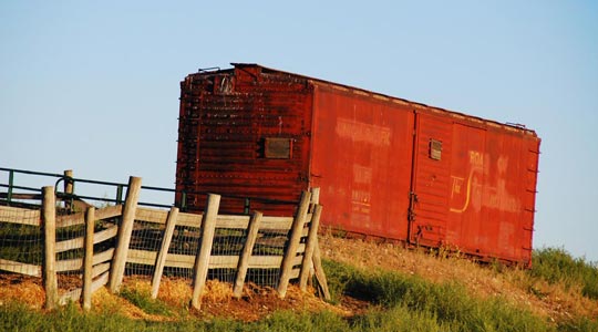  ARACELI SEGARRA _ la colina 