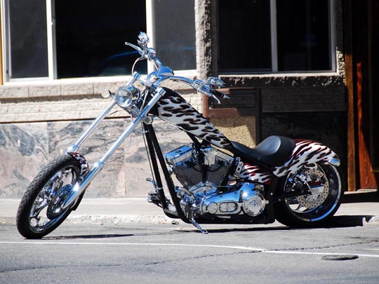  ARACELI SEGARRA _ la moto de marsupilami 