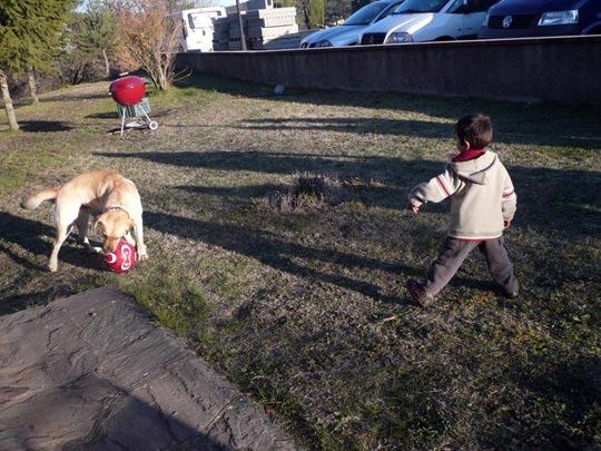  ARACELI SEGARRA _ ¡la quiero aquí! 