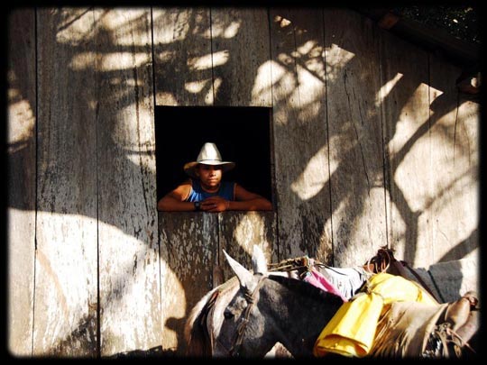  ARACELI SEGARRA _ la ventana indiscreta 