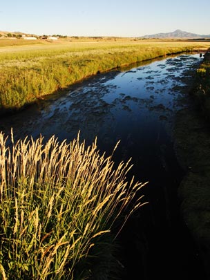  ARACELI SEGARRA _ landscape 