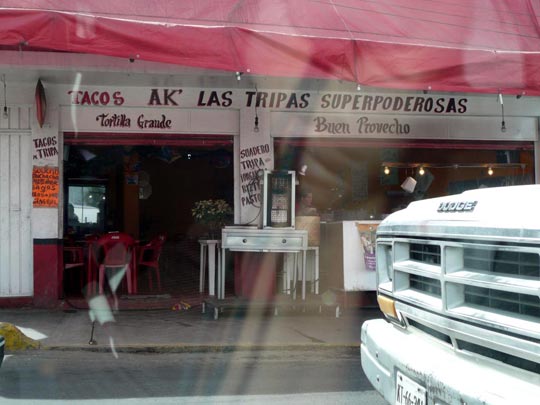  ARACELI SEGARRA _ las superpoderosas 