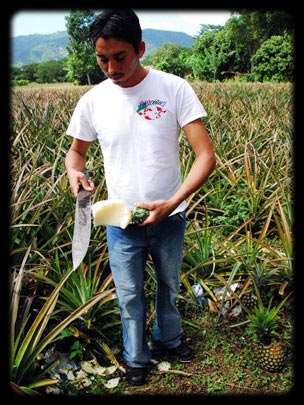  ARACELI SEGARRA _ machetazo 