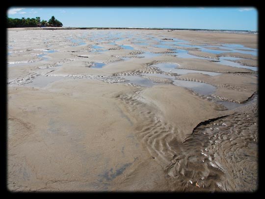  ARACELI SEGARRA _ marea baja 