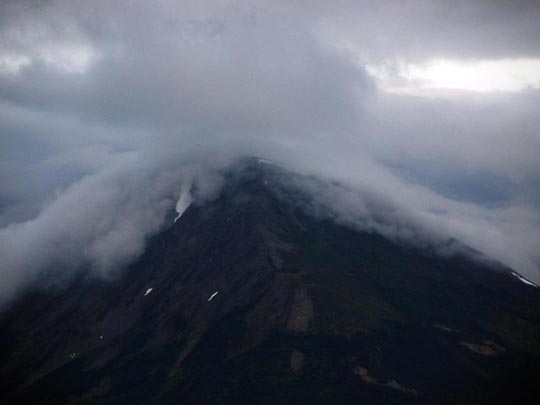  ARACELI SEGARRA _ marrón 