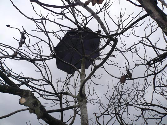  ARACELI SEGARRA _ mary poppins was here 