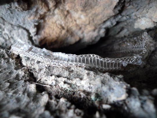  ARACELI SEGARRA _ me he dejado la piel en esto 