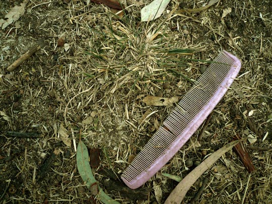  ARACELI SEGARRA _ medespeinao 