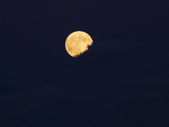  ARACELI SEGARRA _ moon 