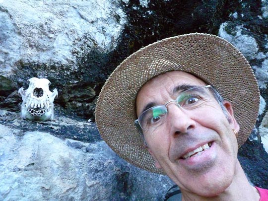  ARACELI SEGARRA _ no hemos evolucionado tanto 