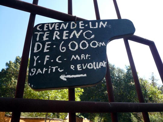  ARACELI SEGARRA _ nocecicomprar 