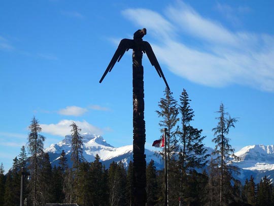  ARACELI SEGARRA _ pajaro que todo lo ve 