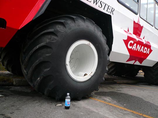  ARACELI SEGARRA _ peazo rueda 