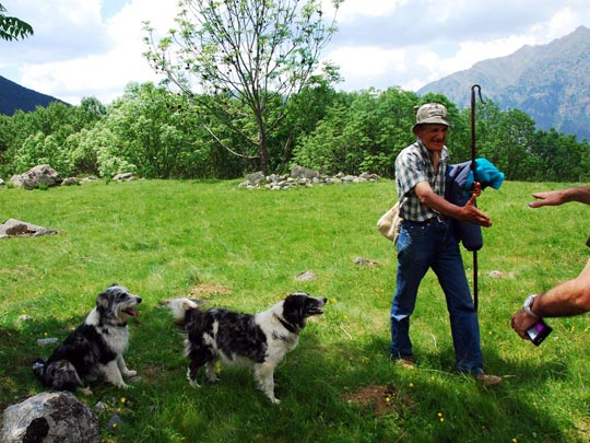  ARACELI SEGARRA _ pedro unas décadas después 