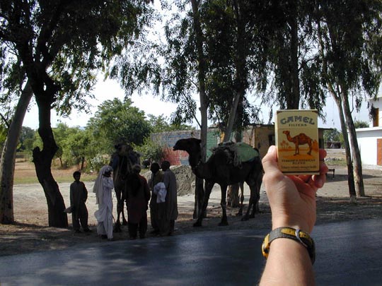  ARACELI SEGARRA _ plagio 