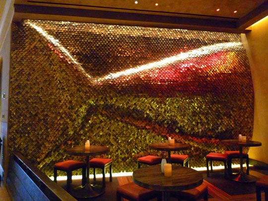  ARACELI SEGARRA _ ponte a la cola 